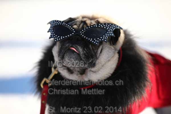 IMG 3028 prot